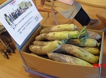 tutitukidaikon.jpg