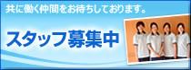 スタッフ募集中